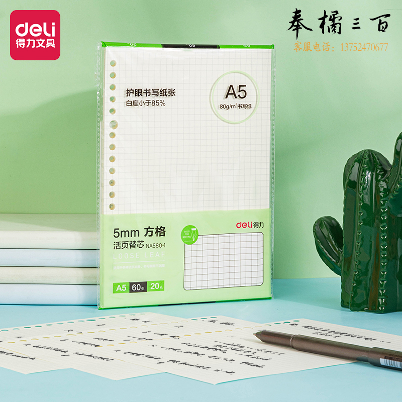 得力 A5活页本替芯60页20孔 (方格)NA560-1