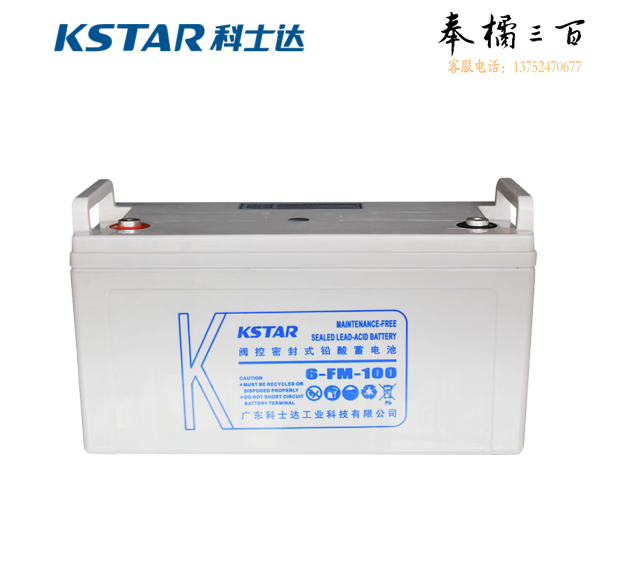 科士达 6-FM-100 12V100AH 铅酸蓄电池