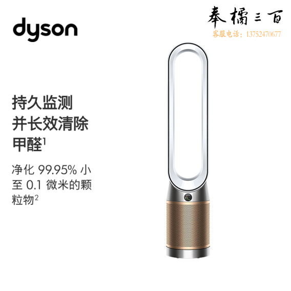 戴森 DYSON TP09 除菌除甲醛空气净化风扇 整屋循环净化 兼具空气净化器功能白金色