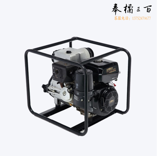 大泽勭力 TO20EW 2寸柴油水泵