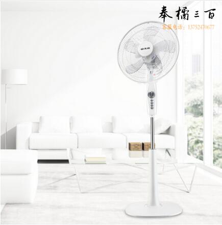 先锋（Singfun）电风扇家用节能台立式升降摇头双风叶大风量10叶落地扇FS40-16D