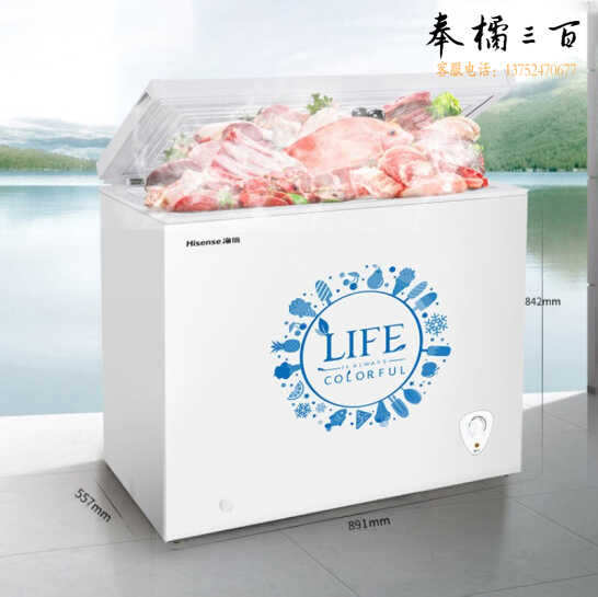 海信 (Hisense) 203升 家用冷柜 冷藏冷冻转换冰柜 大冷冻力节能静音 顶开门单门冰箱BD/BC-203N/A