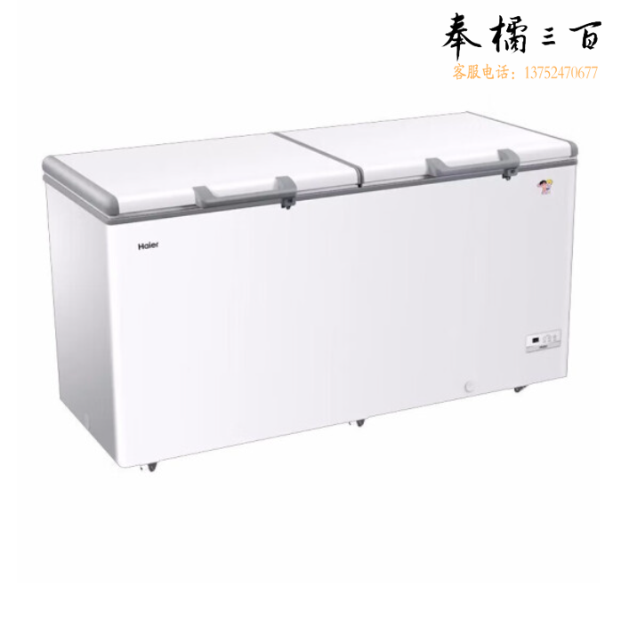 海尔（Haier）冰柜519升商用大容量冻柜 BC/BD-519HEM