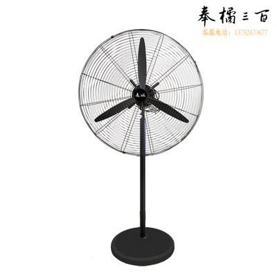 工业落地扇750mm220v  强力电风扇