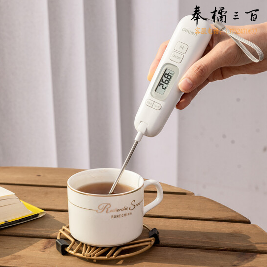 得力 8899 便携高档款食品温度测量探针(白)(只)
