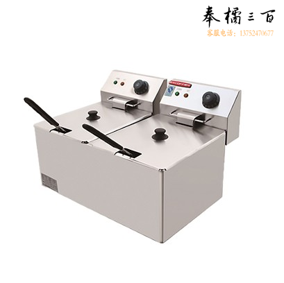 埃科菲双缸双筛电炸炉JE-DZ-8L-2  货号：JC