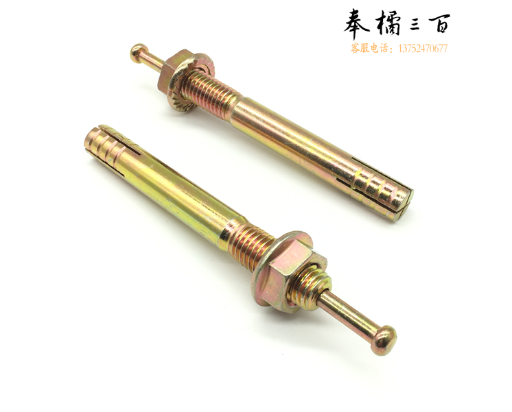 一钉得铁涨管	10*100[巨联]