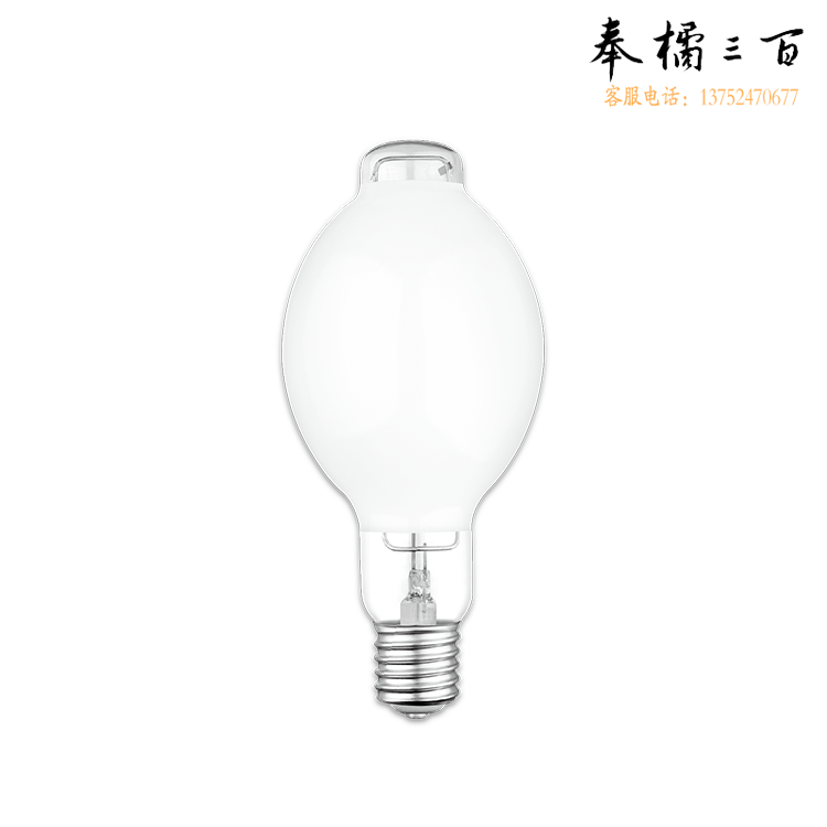 佛山FSL E40 250W 自汞灯