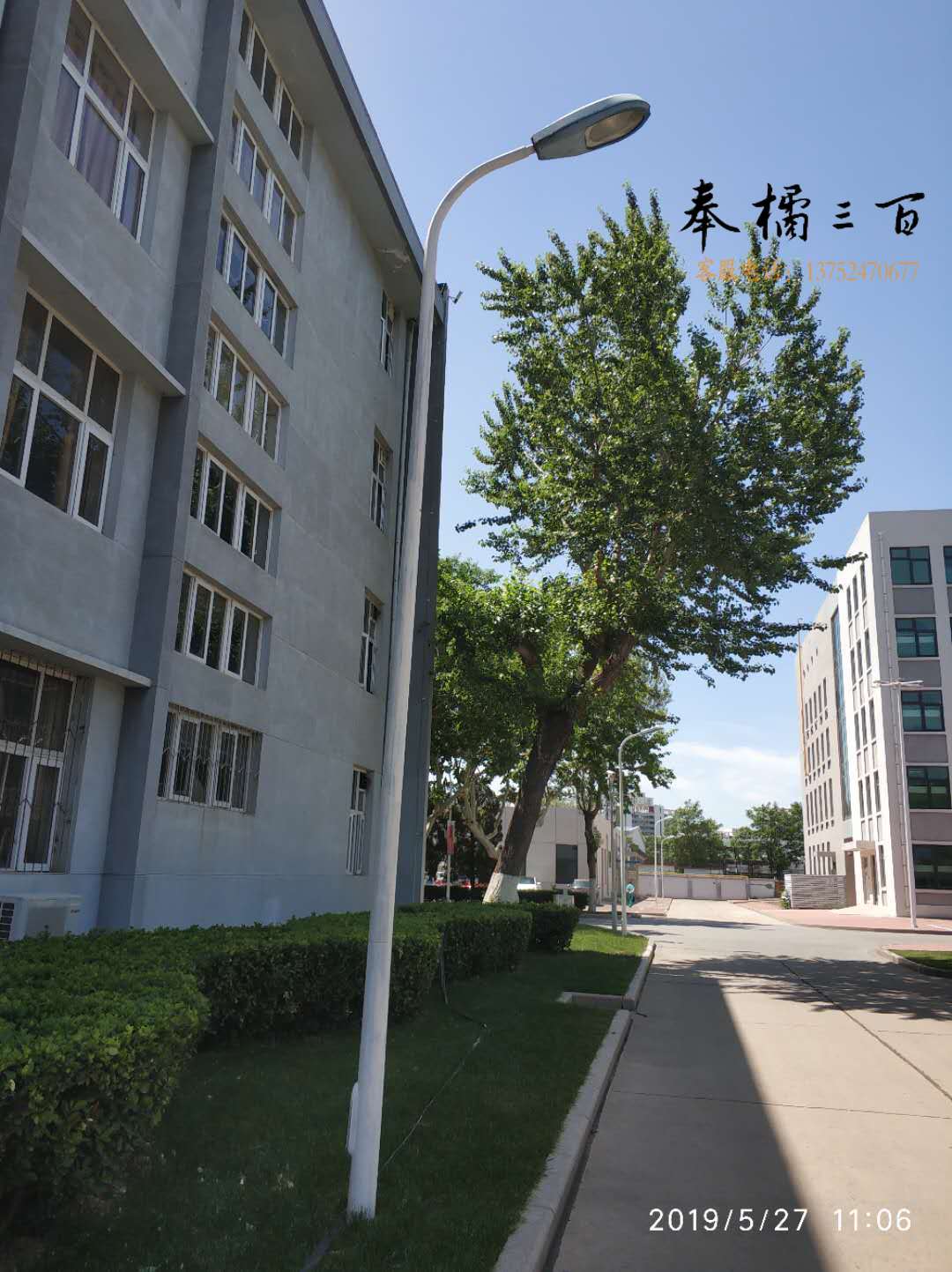 6米长路灯杆配70WLED灯