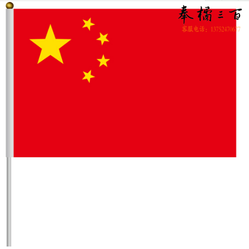 斯图 中国国旗  7号   20*30cm   手摇小旗  五星红旗  10面/包