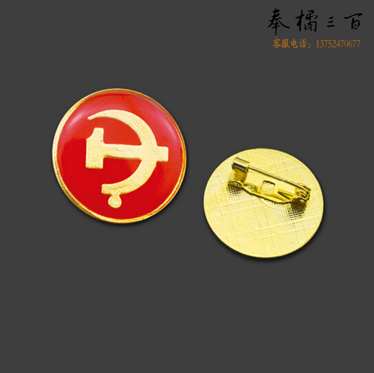 党徽  水晶滴胶徽章 强磁别针100个
