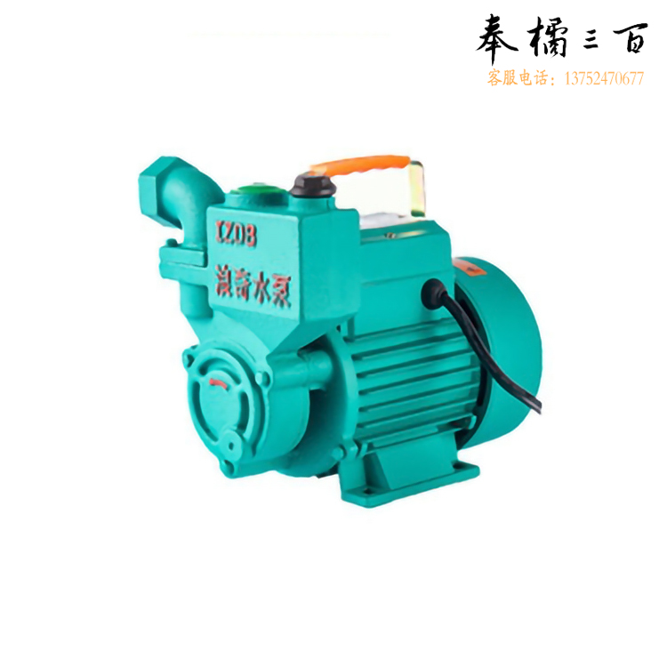 浪奇 IZDB-35B-370W 自吸泵