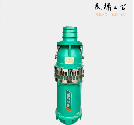 单项污水电泵