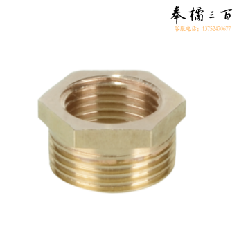 铜补芯6分/4分