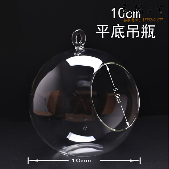 微景观生态瓶  平底吊瓶 收纳瓶  直径10cm