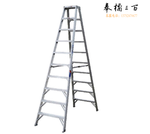 稳耐（werner）T310CN铝合金双侧梯