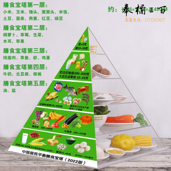 居民平衡膳食模型 营养指导食物交换份教学模型   2022版