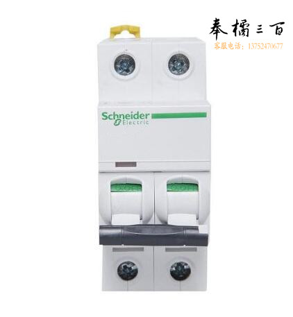 施耐德电气（SCHNEIDER）C型断路器 iC65N-C2P/13A