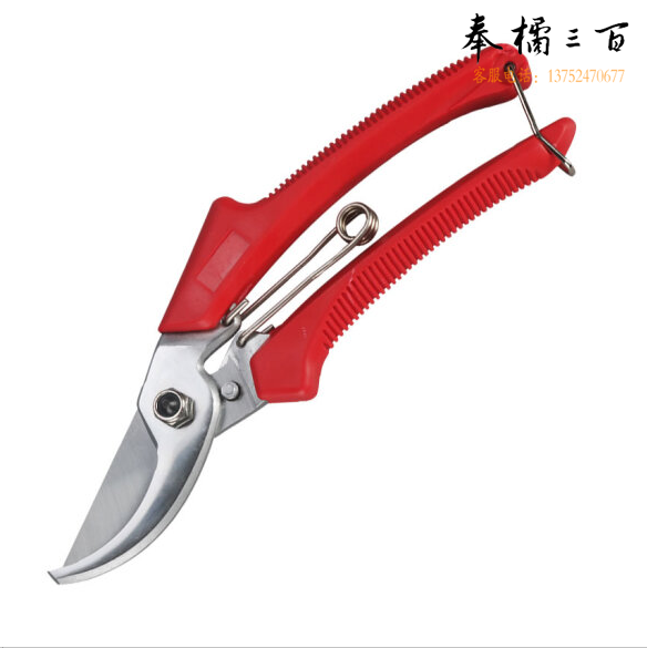 剪枝手剪刀 园艺修枝剪 工具剪刀