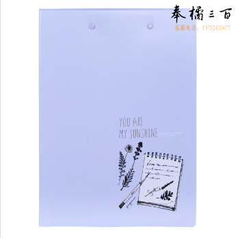 得力 5300 文件夹双强力夹 A4 (单位:个) 混色