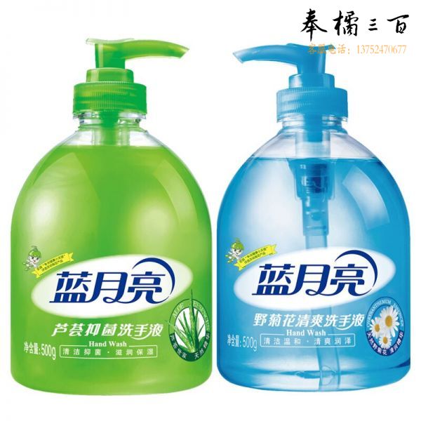 蓝月亮 500g芦荟洗手液+500g野菊花洗手液 芦荟野菊花洗手液套装