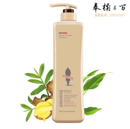 阿道夫 800g 生姜防脱育发专研 防脱育发洗发水 新老包装随机发