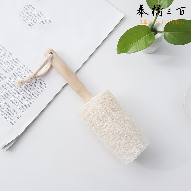 鸣固 ZJ4023长柄清洁刷 丝瓜洗杯刷 玻璃杯洗杯刷子丝瓜刷 白色21.5CM其他防护用品