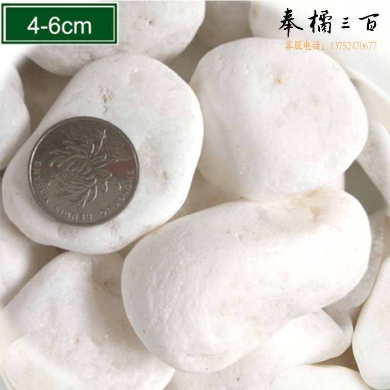 鸣固 天然白ZJ5455色石子石头大鹅卵石庭院铺路铺地小白石头园林枯山水白石子 5-8cm 15kg其他防护用品