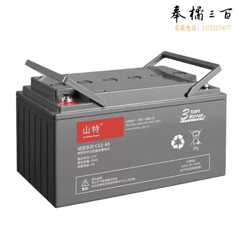 山特12V 蓄电池C12-100阀控式免维护铅酸UPS蓄电池  12V65ah  个碱性蓄电池设备