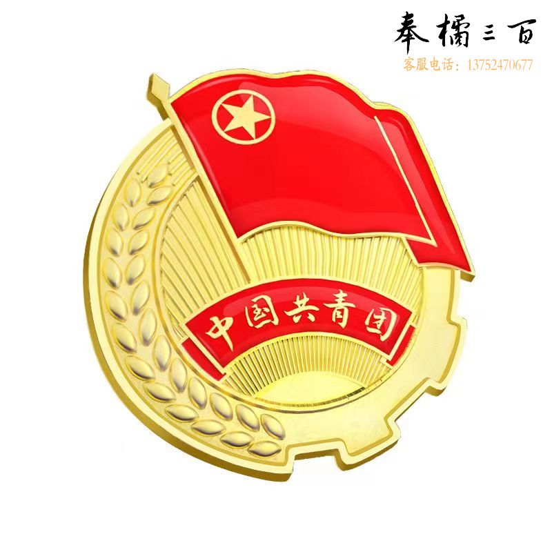 团徽 中国共青团团徽 团员徽章  标准型  胸针别针磁铁     2.0cm磁扣款装饰材料
