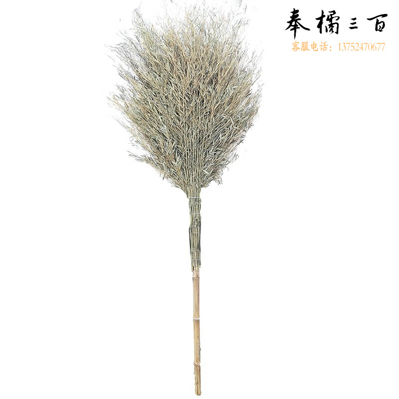 捷诺立(JNL) 58000A 环卫大扫把 环卫工具竹子扫把扫地笤帚老式加大庭院户外马路扫院子 一体式大扫把普通款 其它规格咨询客服五金附件