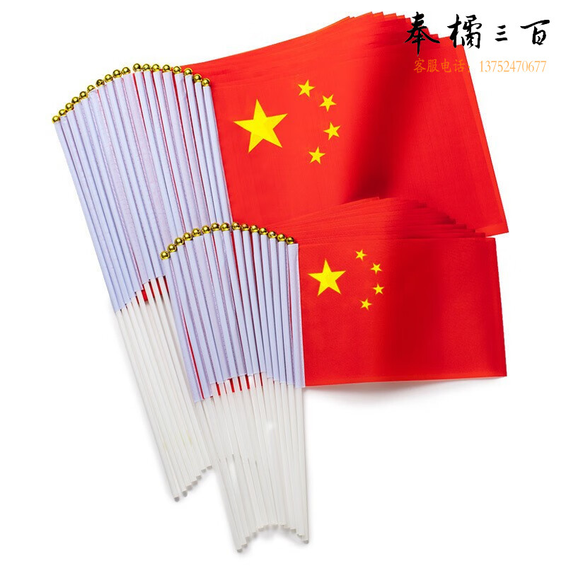 捷诺立（JNL） 手摇旗中国五星党旗小号红旗手拿旗杆（20面） 7号20*28cm国旗+塑料杆 其它规格咨询客服五金附件