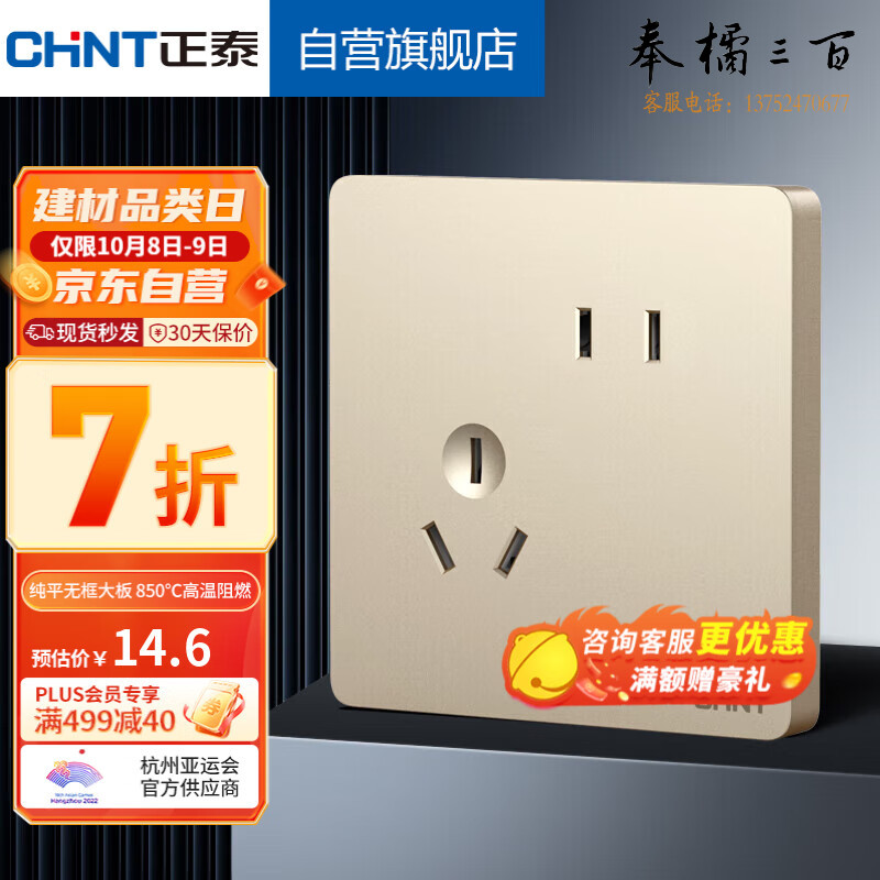 正泰（CHNT）开关插座墙壁面板家用86型暗装一联二极三极 斜五孔插座6C香槟金