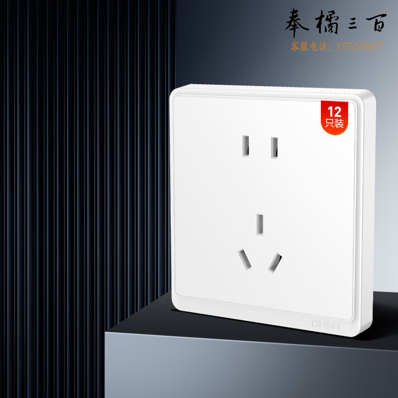 正泰（CHNT）开关插座墙壁面板家用暗装面板正五孔插座十二只装白色NEW6M