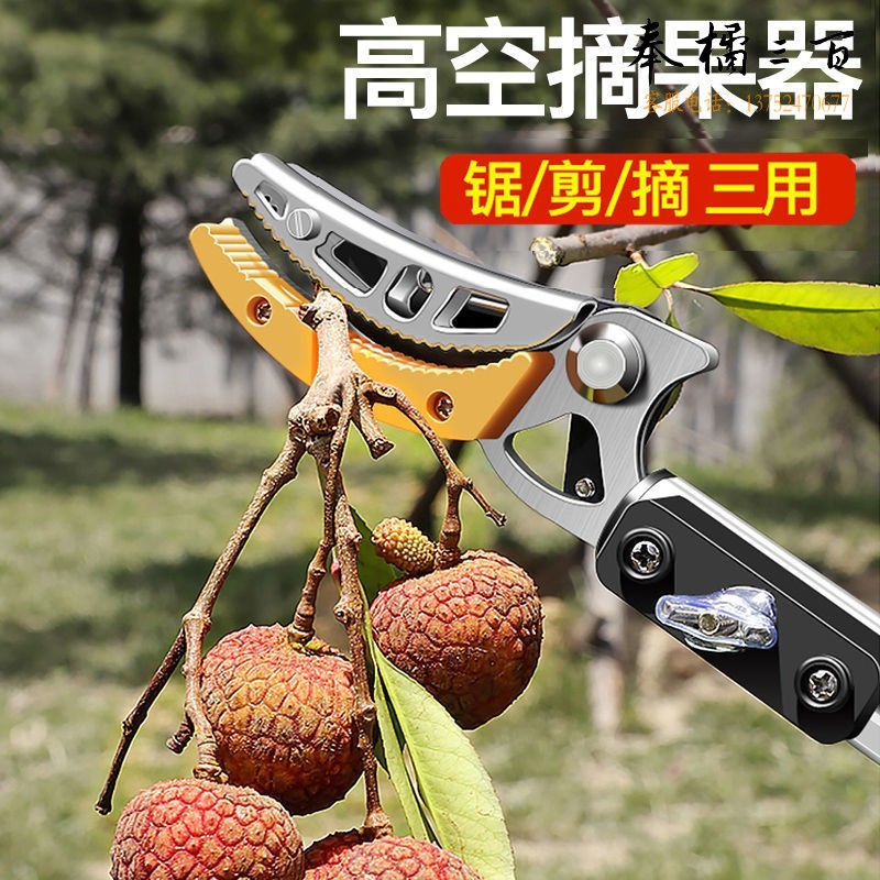 艾瑞泽 摘果神器伸缩杆高枝剪加长高空修枝剪刀采摘荔枝龙眼手动农具 1.3-2米②段伸缩【大剪头】摘果剪+标配3件套  其它尺寸②段伸缩套餐 请咨询客服手动工具