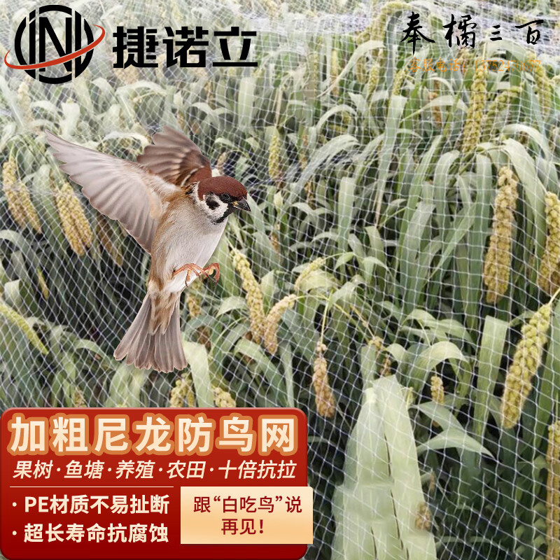 捷诺立(JNL) N80238 农用隔离网防鸟用网鱼塘养殖围栏塑料天网葡萄架 防鸟网抗老化[2.5cm孔]3米宽/米 其它规格咨询客服五金附件