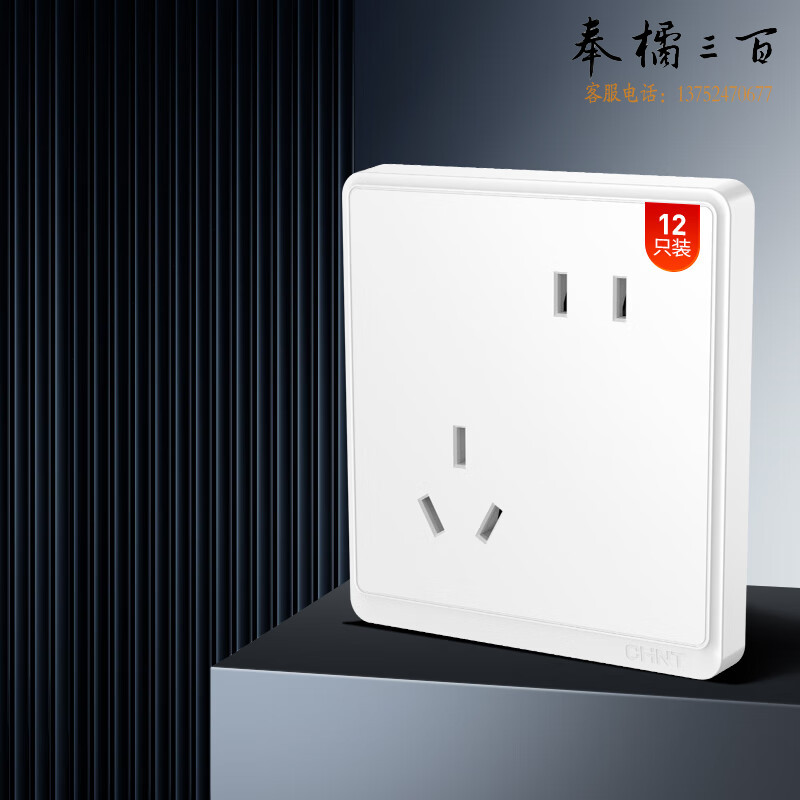 正泰（CHNT）开关插座墙壁面板家用暗装面板斜五孔开关插座十二只装白色NEW6M