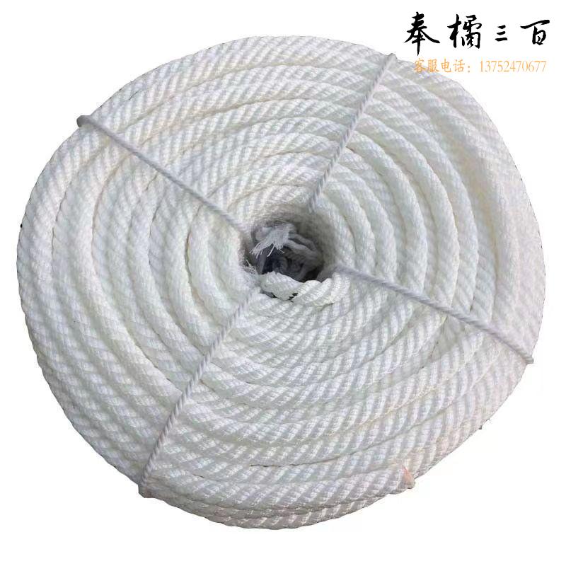 捷诺立（JNL）25028 白色三股尼龙绳耐磨捆绑绳船用撇扭绳麻花绳10毫米/每10米  （绳粗10-70mm多种规格，多种型号 其它型号规格请咨询客服）五金附件