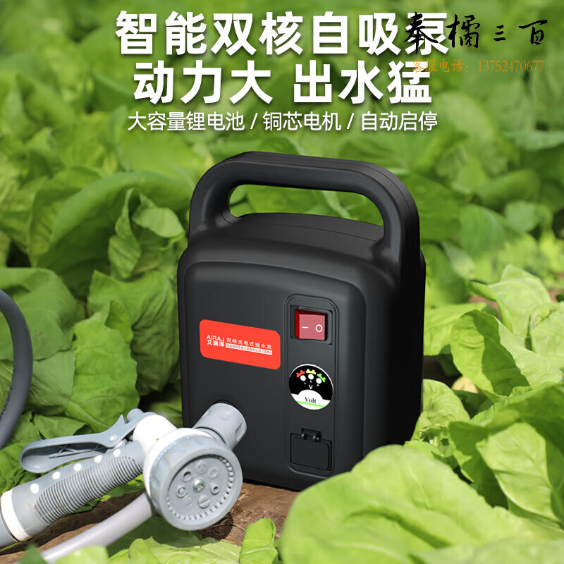 艾瑞泽德国 充电式抽水泵淋地浇菜神器便携式灌溉机新型农用电动抽水机 36AH锂电双核水泵+10米高压管  其它高压管套餐 请咨询客服手动工具