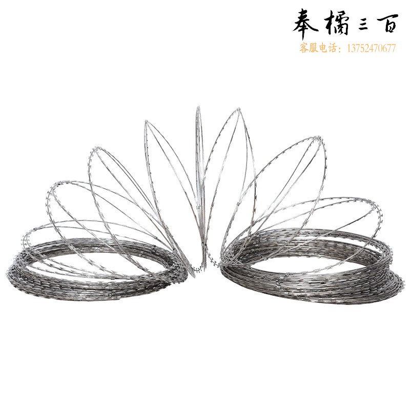 捷诺立 N13761 刀片刺绳防爬防盗网刺铁丝滚笼防护网围墙铁蒺藜带刺网 单螺旋圈直径30厘米-加密款20米长五金附件