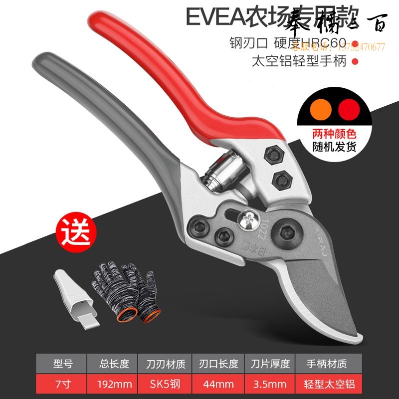 艾瑞泽 剪枝剪刀日本钢刀头剪树枝修果树花剪园林园艺修枝剪手动农具 7寸德国EVEA农场专用手动工具