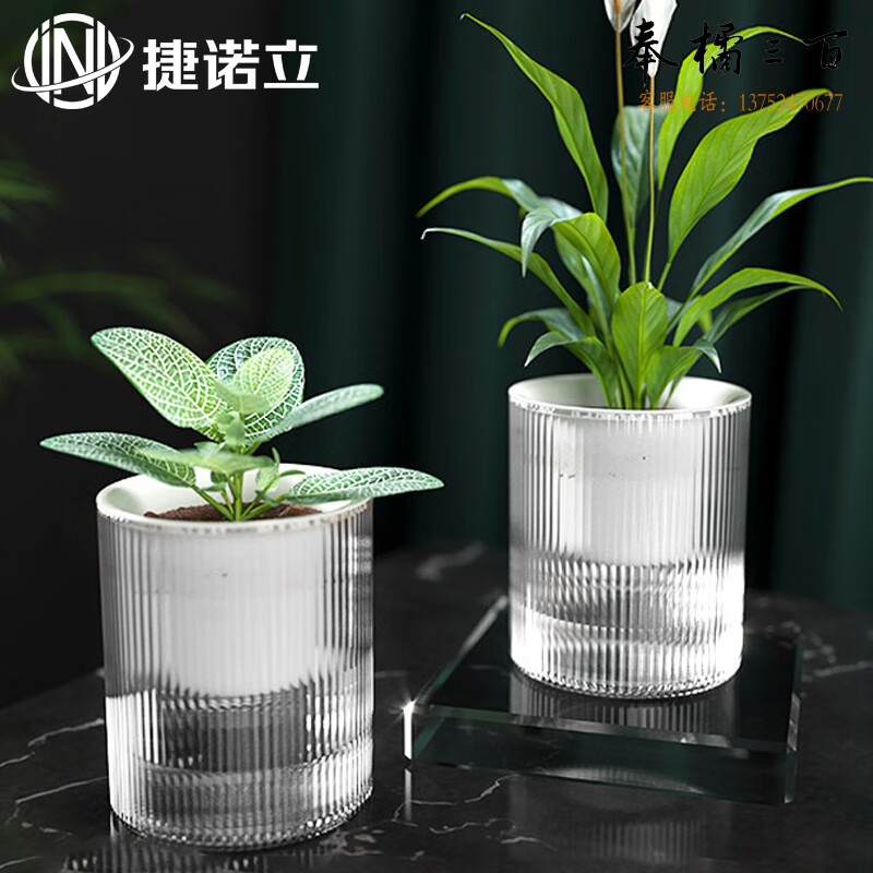 捷诺立（JNL） N81981 懒人绿萝自动吸水可储水塑料花盆 光汐花盆（2只装）10CM装饰材料