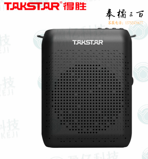 得胜（TAKSTAR）E220便携式小蜜蜂扩音器教师蓝牙迷你教学专用上课用带FM音箱 黑色