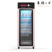 乐创（lecon） 商用消毒柜 密胺400L不锈钢大型学校餐厅饭堂中温餐具柜 LC-J-XD500A