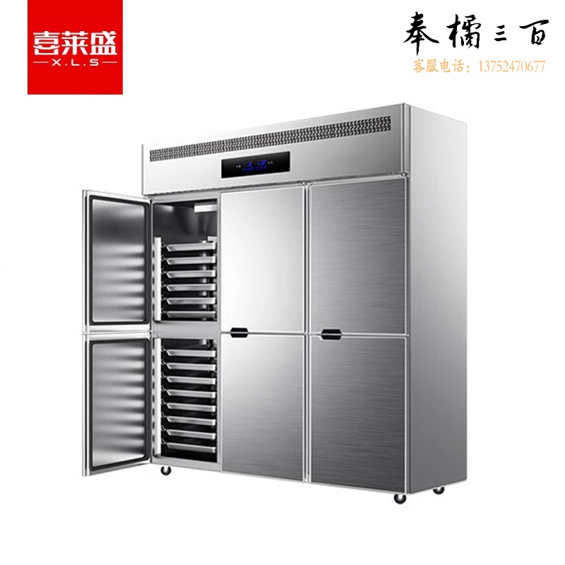 喜莱盛 XLS-6FSPS 商用六门冰柜 立式冷柜