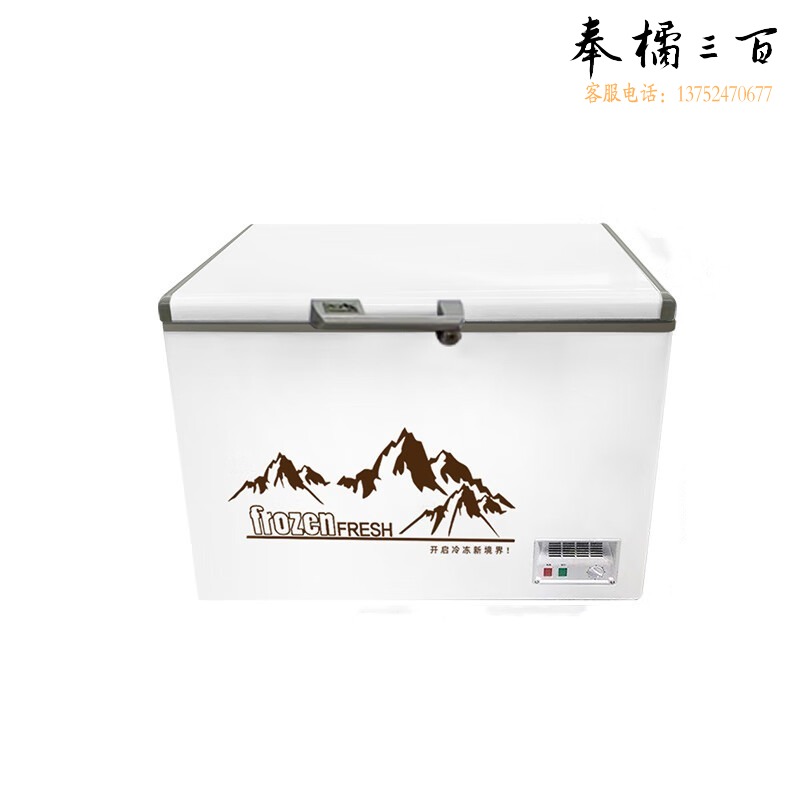 喜莱盛 BD-TS598 喜莱盛 BD-TS598 冷柜 冰柜 保鲜柜 卧式冰箱