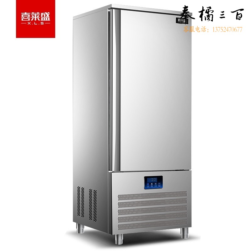 喜莱盛 SH-AE15 冷柜 商用速冻冰柜 15盘风冷｜800*900*1965mm