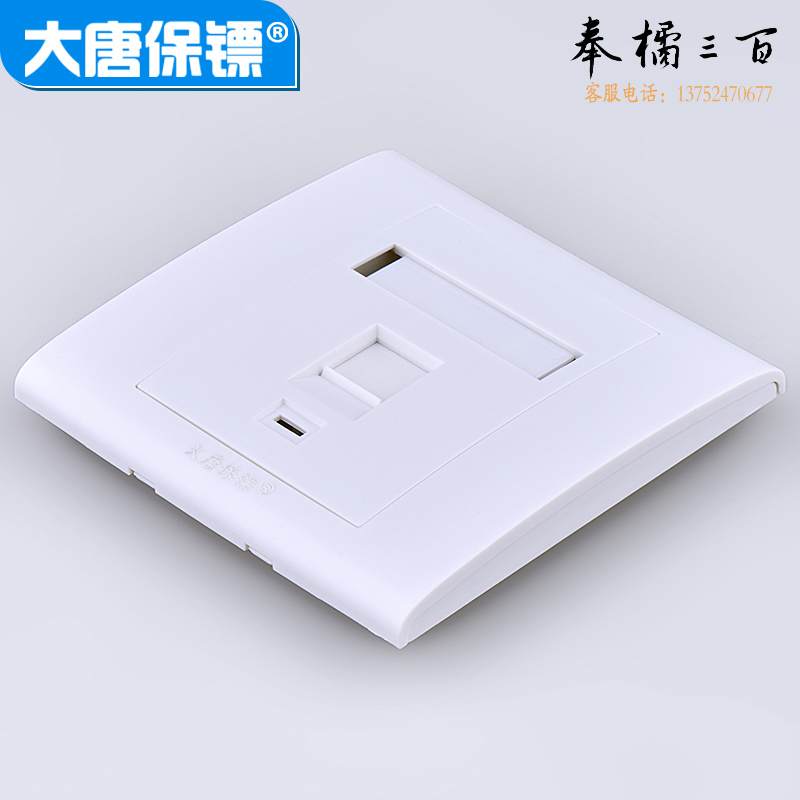 大唐保镖 网络模块 单口面板 DT2801-1