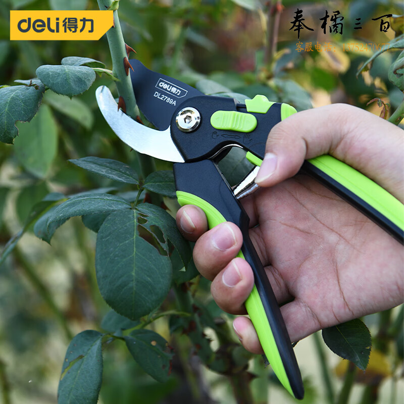 得力（deli）树枝剪  开口可调节   DL2789A   16mm