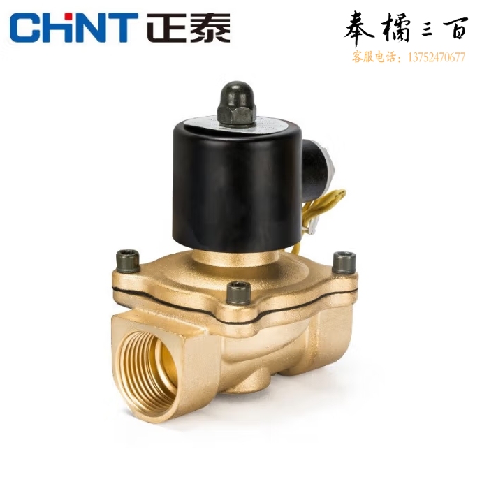 正泰  电磁阀水阀 磁开关阀 250-25 220V  货号：NK